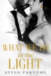 What We Do in the Light Ebook Cover